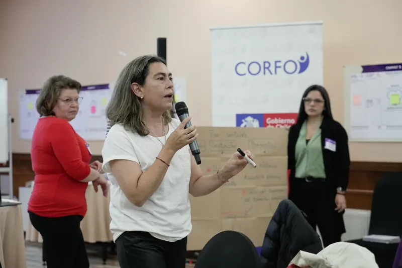 Anita Bareyns Rojas como speaker en evento CORFO Región de Los Lagos